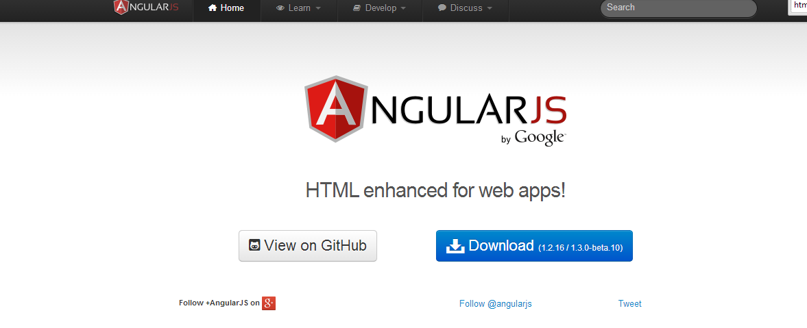 AngularJS HomePage